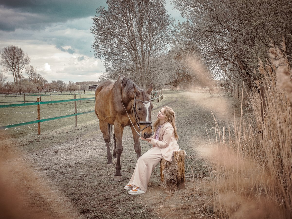 zittend meisje met paard 