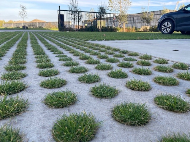 EMC Greenroofs - Parking waterdoorlatende grasverharding - situatie 29 oktober 2026.jpg
