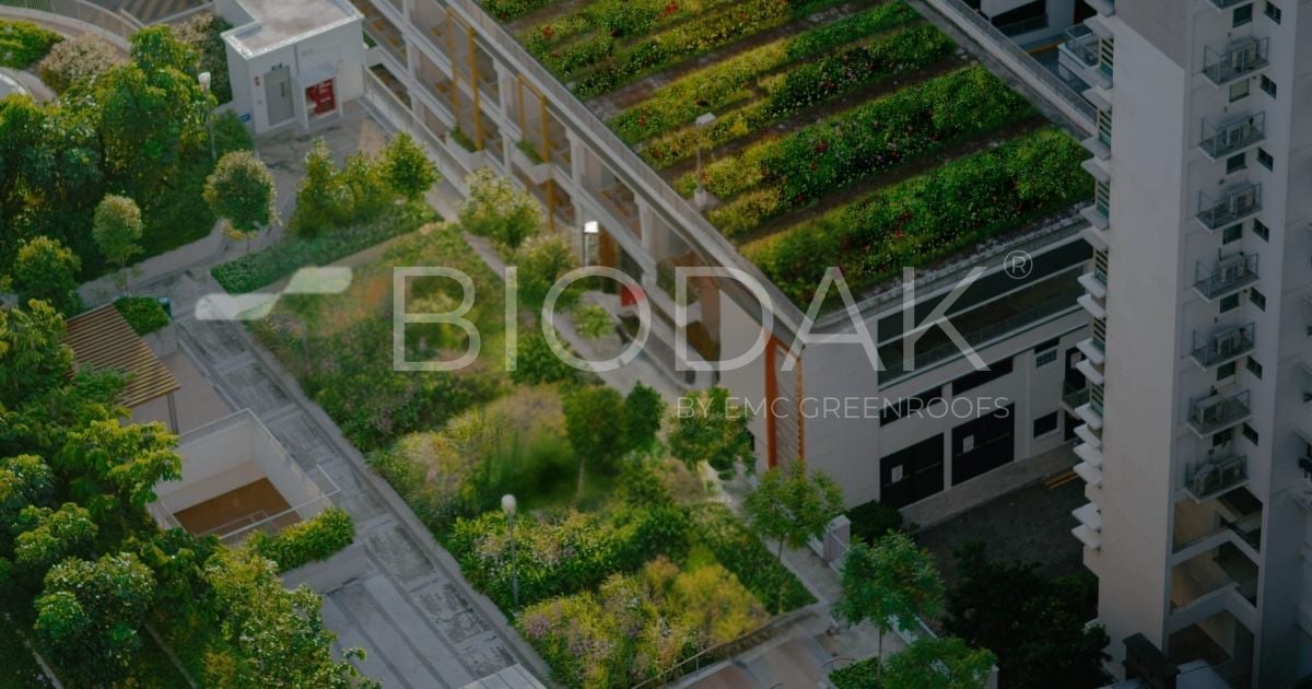 EMC Greenroofs Aalter - Biodak 3D render watermerk.jpg
