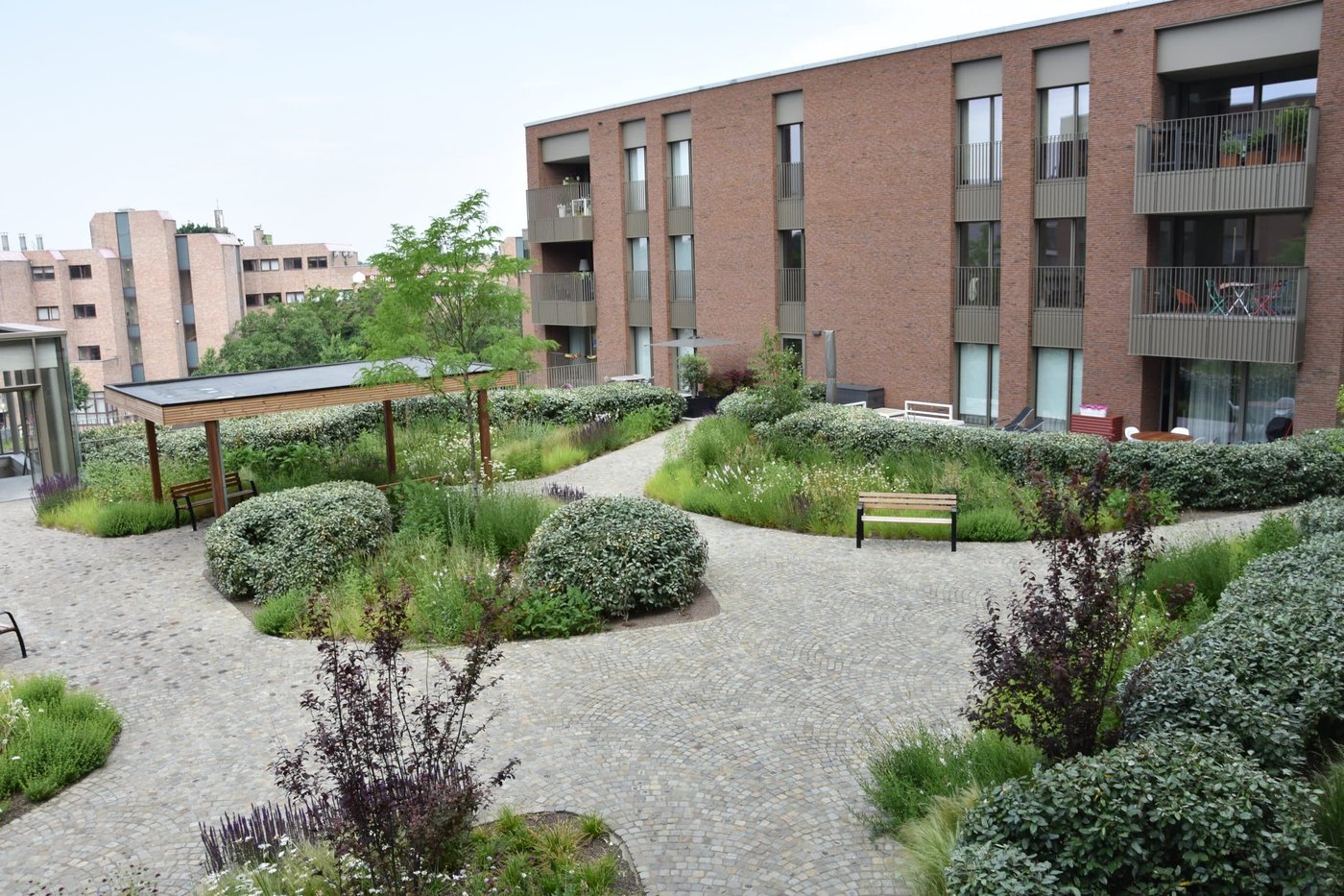 EMC Greenroofs - Intensief groendak.jpg