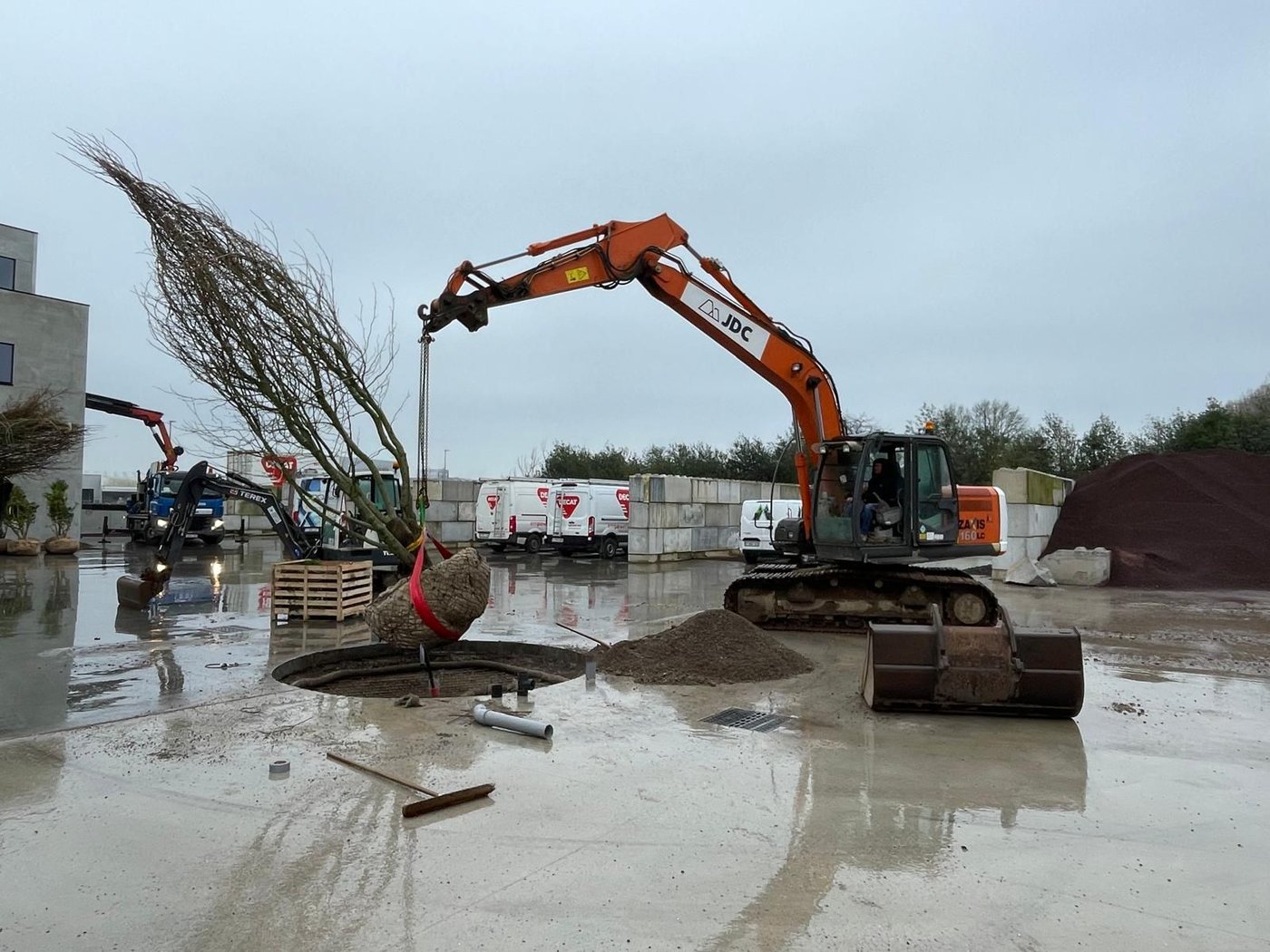EMC Greenroofs - Plaatsing boom koer - aanplanting in actie door JDC.jpg