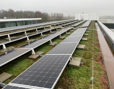 BLOG 4 - Moet je een groendak water geven tijdens de zomer - groendak met zonnepanelen.jpg