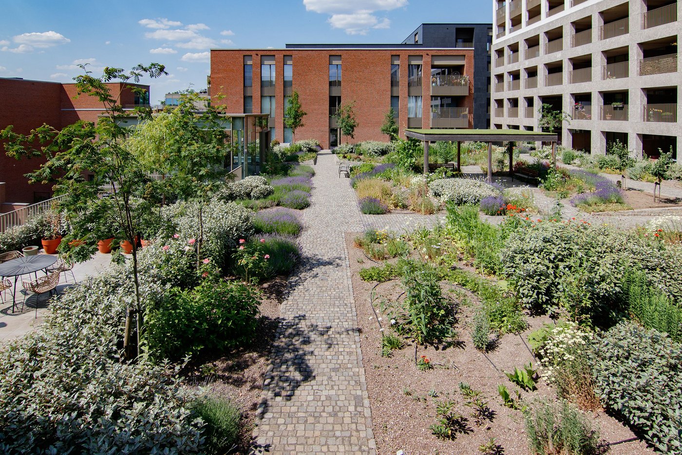 EMC Greenroofs - Hasselt - Quartier Bleu - weelderige daktuin dankzij o.a. irrigatie.jpg