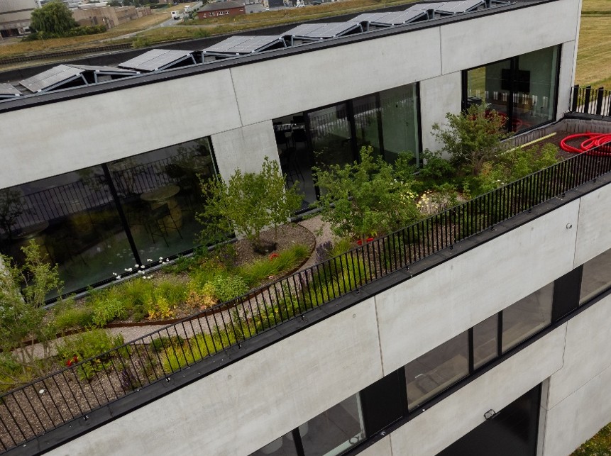 EMC Greenroofs - Kenniscentrum - semi-intensieve daktuin kantoor EMC.jpg