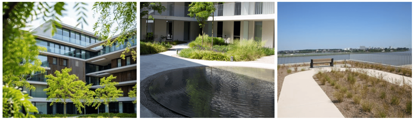 EMC Greenroofs - Blog Groendaken als sleutel tot circulair bouwen - Ecologische impact .png