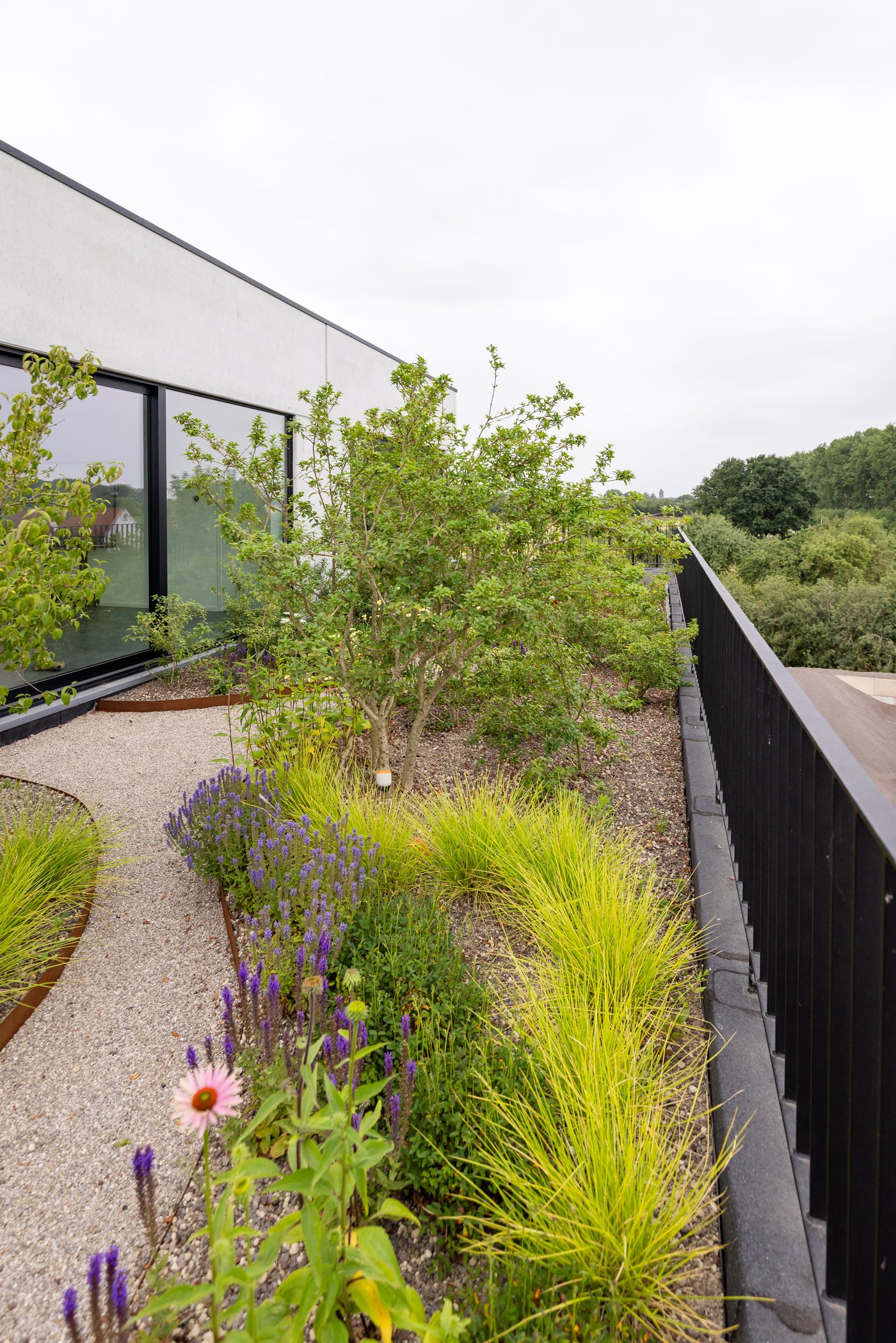 EMC Greenroofs Aalter - Inspiratie daktuin.jpg