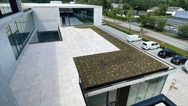 EMC Greenroofs - Blog irrigatiesystemen - praktijkvoorbeeld Keukens Goossens Oostkamp.jpg