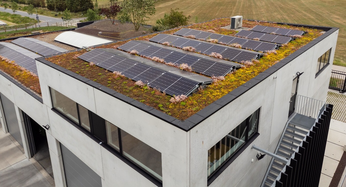 EMC Greenroofs - Kenniscentrum - Groendak met zonnepanelen.jpg