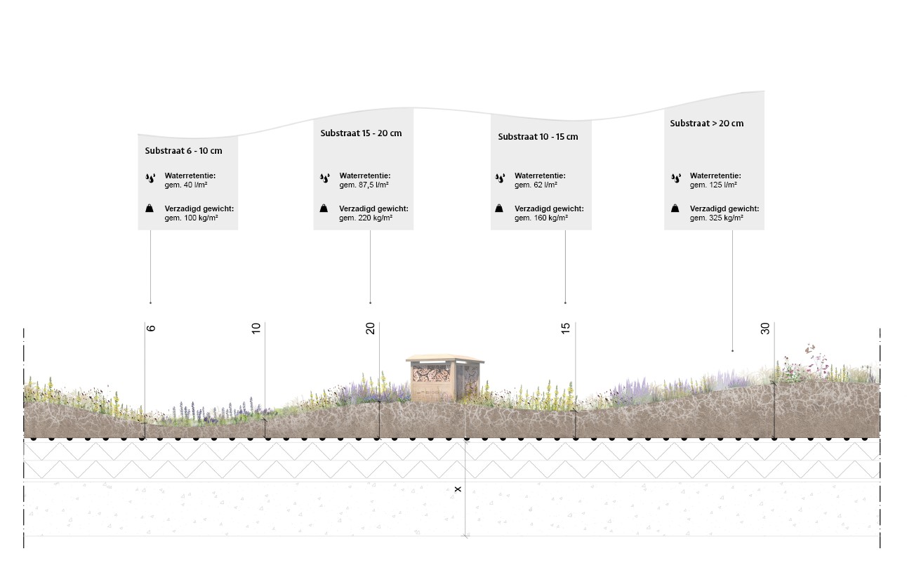 EMC Greenroofs Aalter - Blog keuze groendak - Detail Biodak.jpg