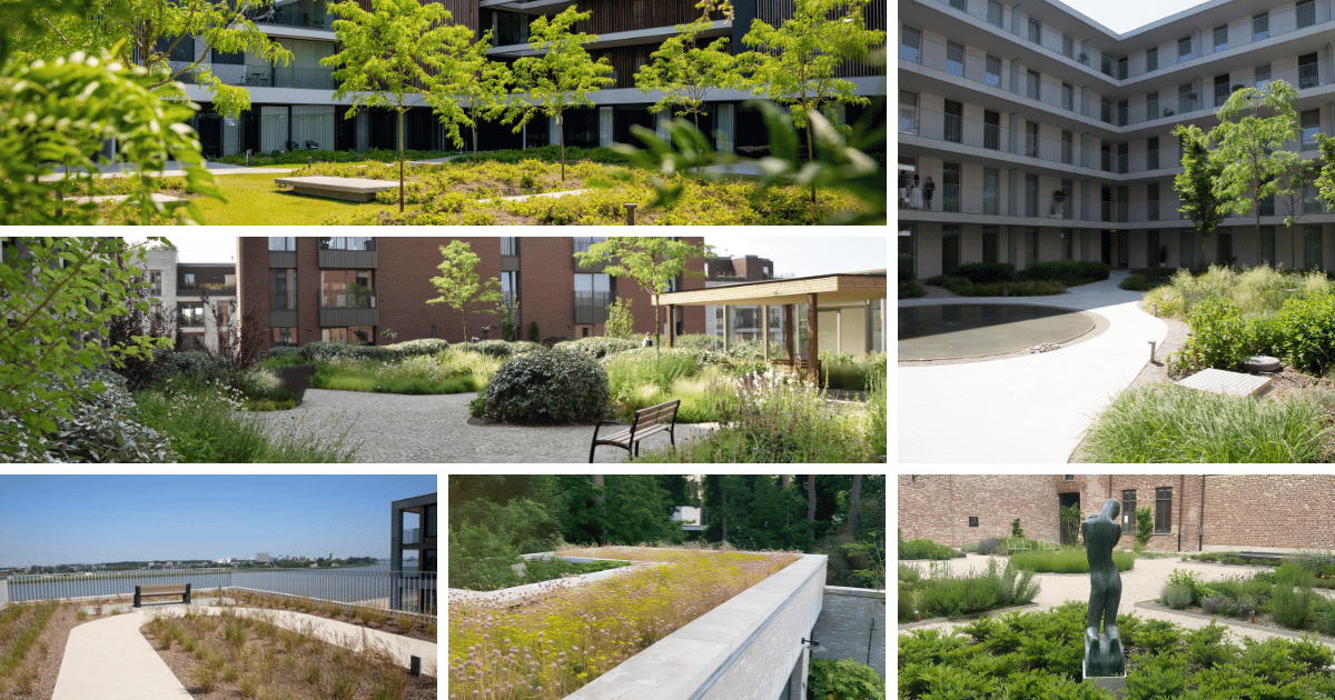 Realisaties EMC Greenroofs Aalter.png