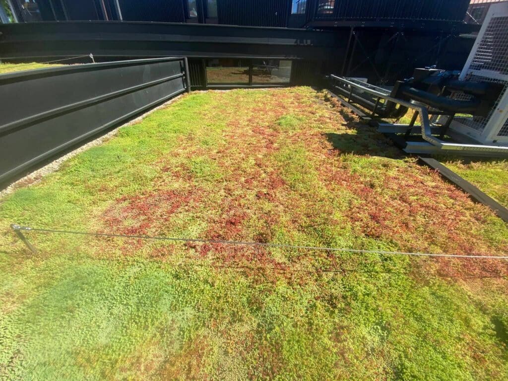 EMC-Greenroofs-Aalter-Blog-Keuze-groendak-Onderhoud-1.jpg