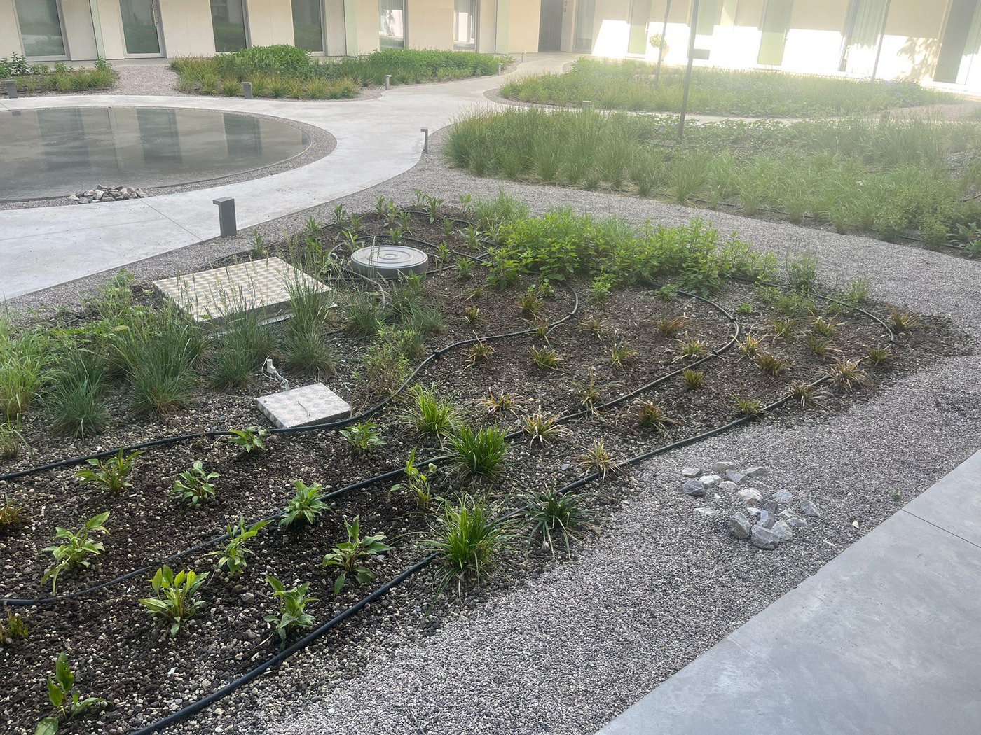 EMC Greenroofs - Galerij Intensief groendak Ginderale Merchtem - 2.jpg