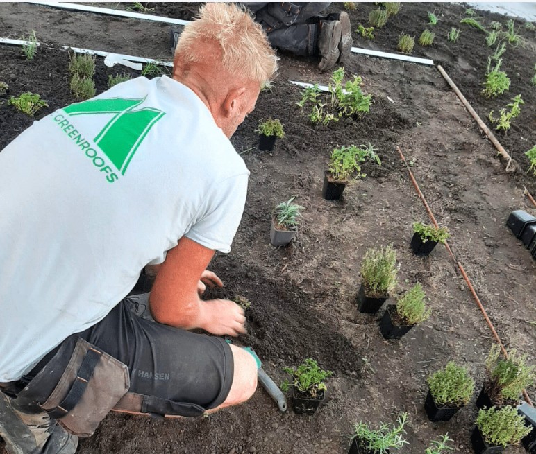 EMC Greenroofs Tuinarbeider jobs.jpg
