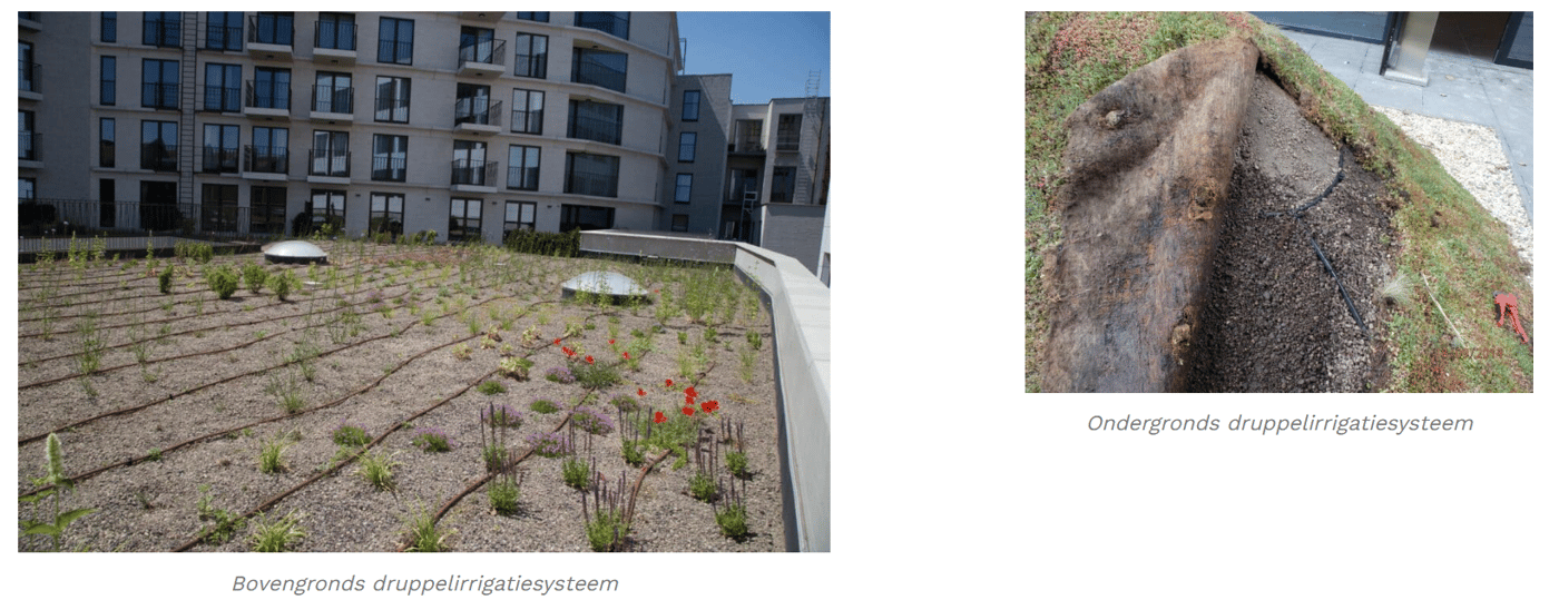 EMC Greenroofs - Blog irrigatie op groendak goede investering of niet - Voorbeeld 2 systemen.png