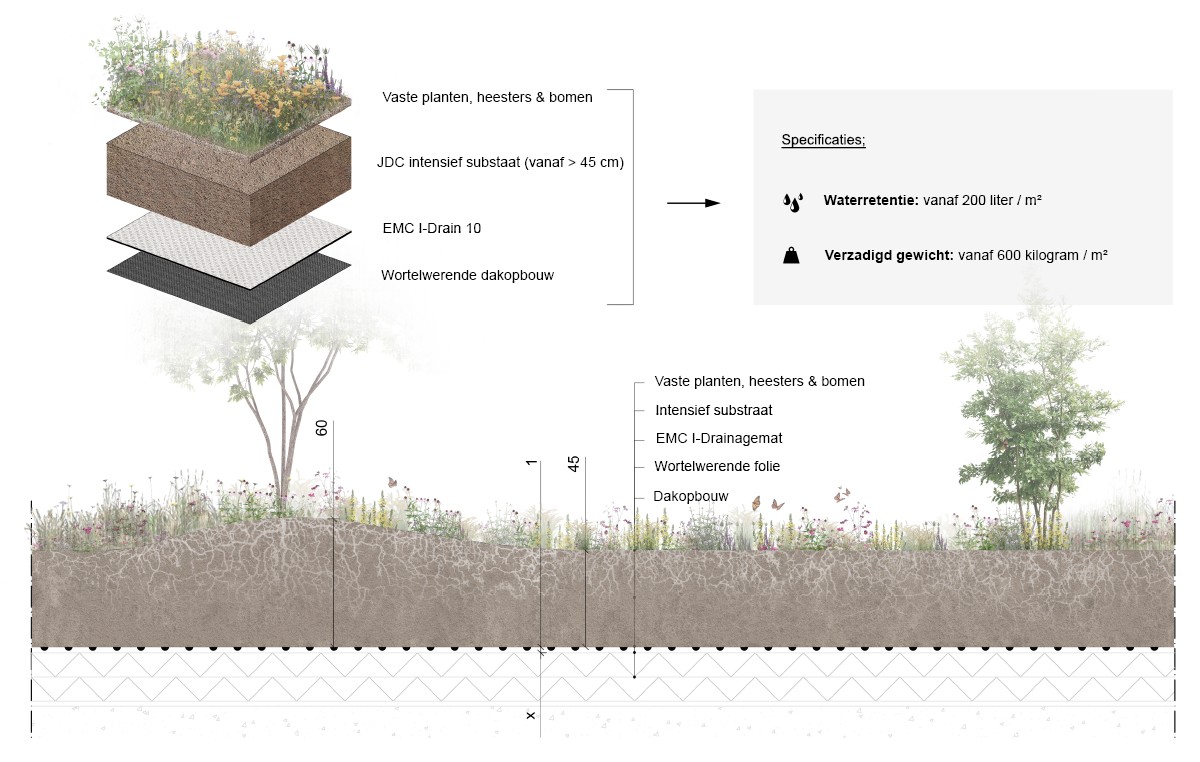 EMC Greenroofs Aalter - Blog keuze groendak - Detail intensief groendak.jpg