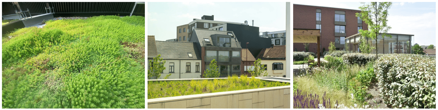 EMC Greenroofs - Blog Maximale waarde uit groendak halen - Voorbeelden reeks 2.png