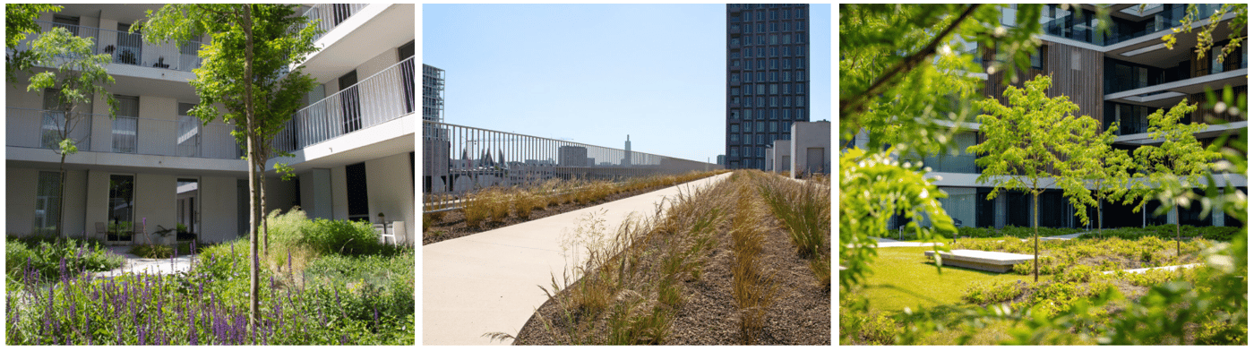 EMC Greenroofs - Blog Maximale waarde uit groendak halen - Voorbeelden.png