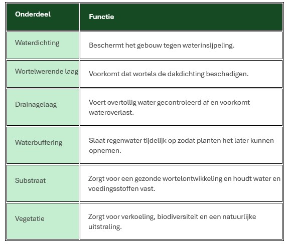 EMC Greenroofs - Blog irrigatiesystemen - Elk onderdeel van de dakopbouw speelt een belangrijke rol.jpg
