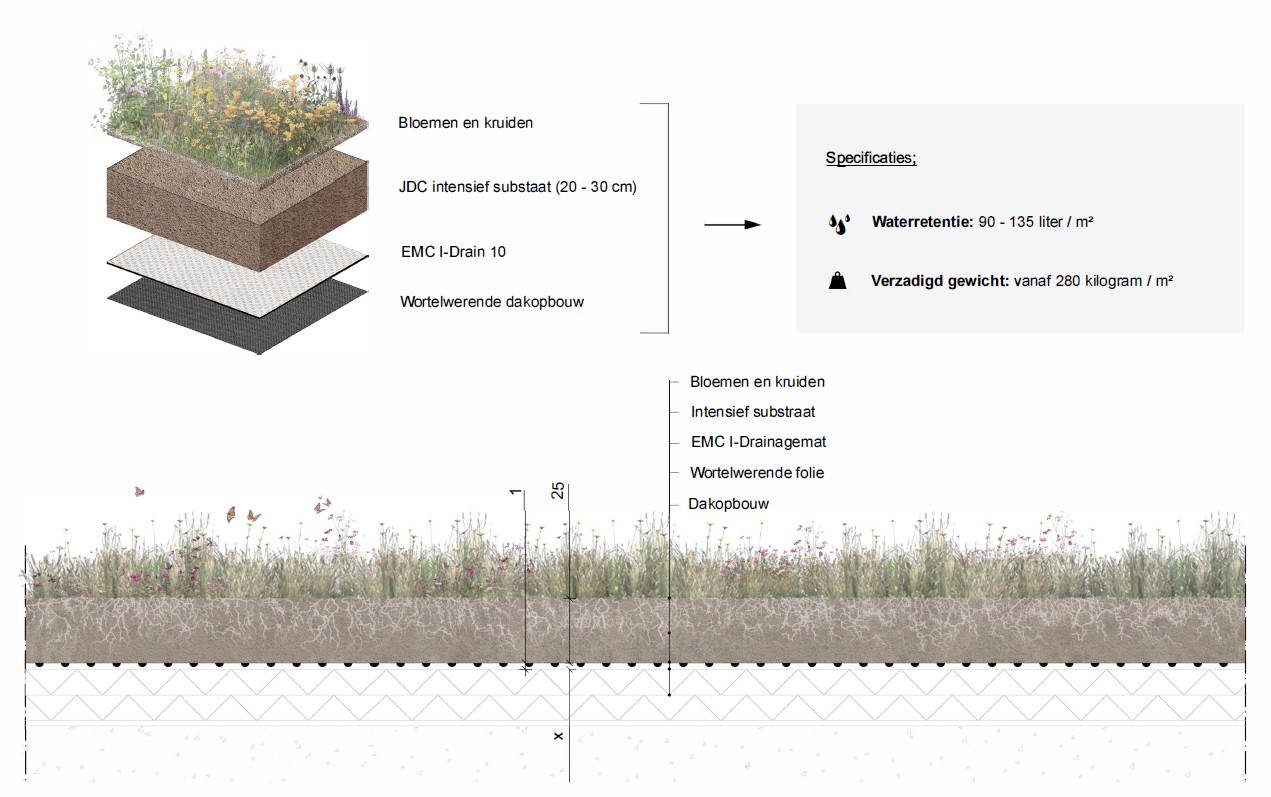 EMC Greenroofs Aalter - Blog keuze groendak - Detail semi-intensief groendak.jpg
