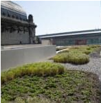 Mini Intensieve daktuin EMC Greenroofs - Blog irrigatie.png