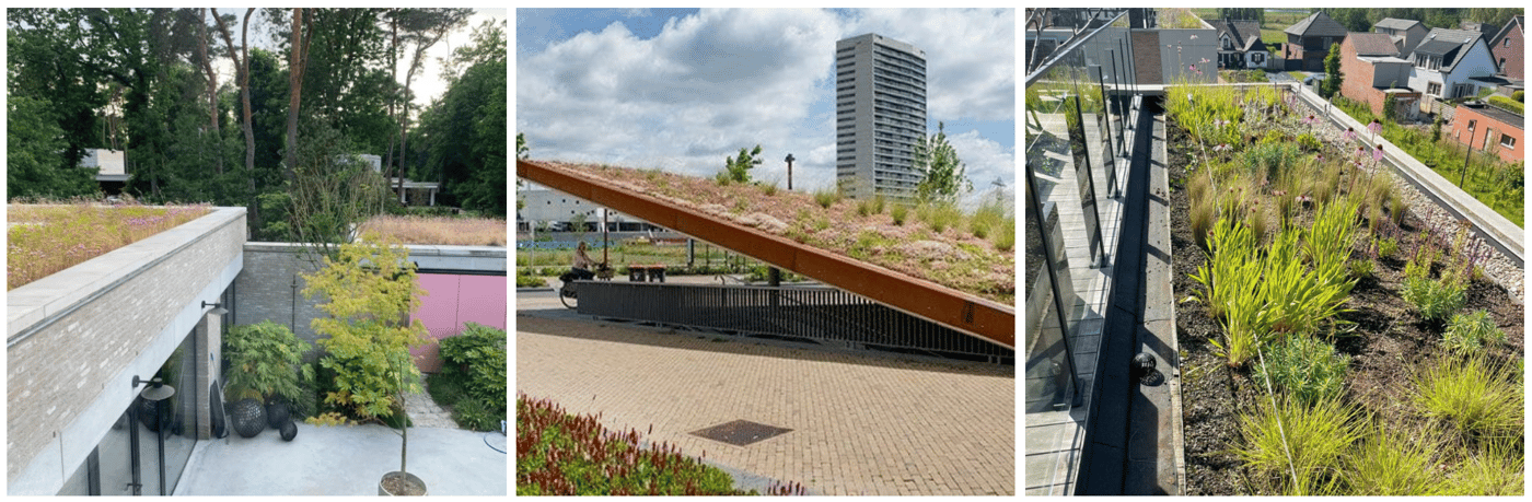 EMC Greenroofs - Blog Welk groendak past bij jouw project - Semi-intensieve groendaken.png