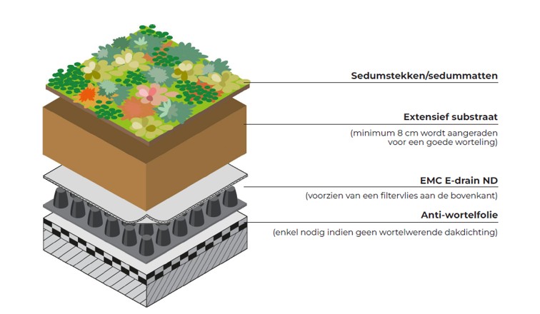 EMC Greenroofs - Blog irrigatiesystemen - Voorbeeld opbouw extensief groendak met voldoende afschot - incl. beschrijvingen.jpg
