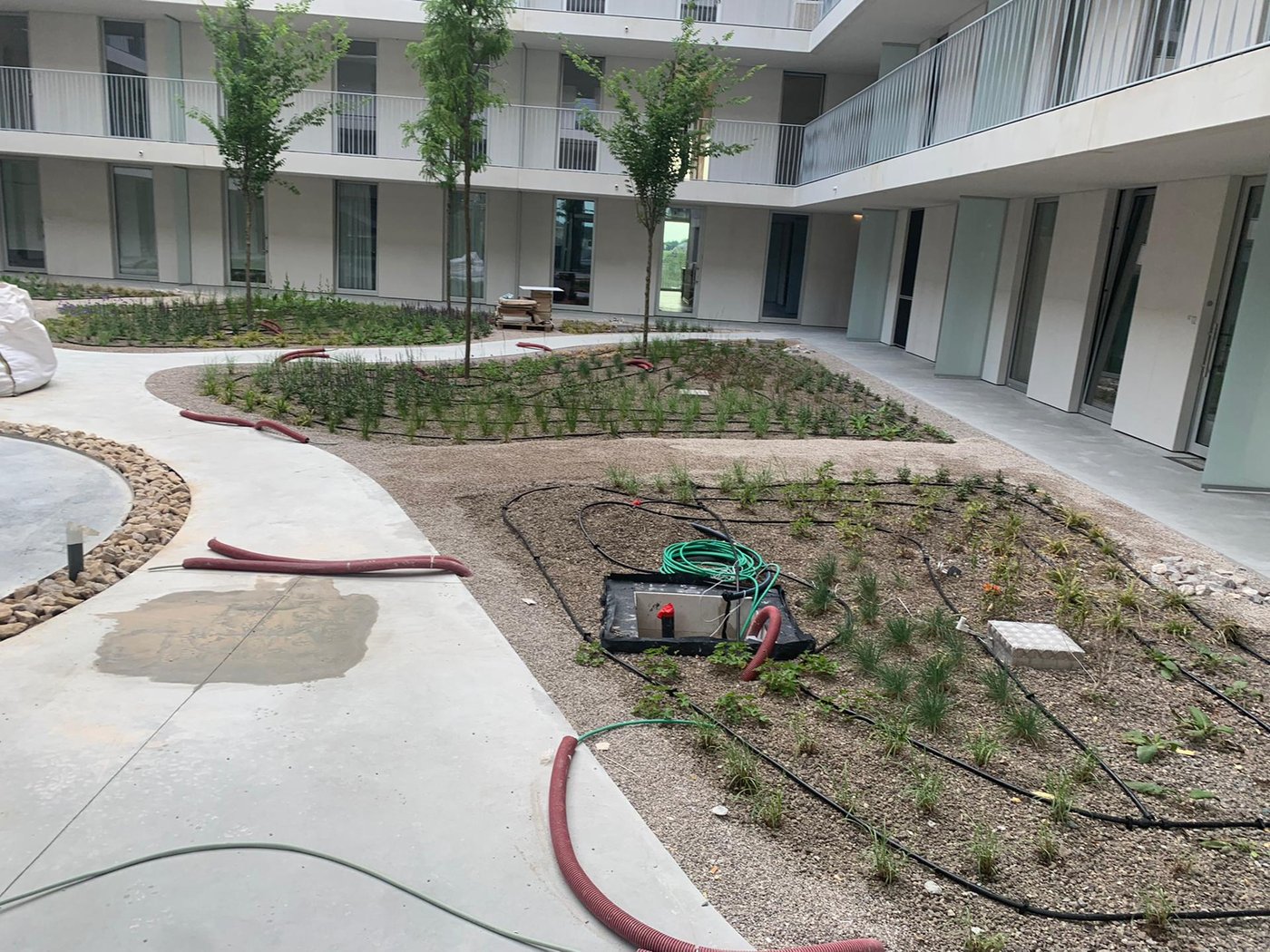 EMC Greenroofs -Merchtem Ginderale irrigatie intensief groendak - 2.jpeg