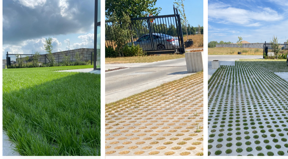 EMC Greenroofs - Parking doorheen 3 periodes zonder water toch herstel.png