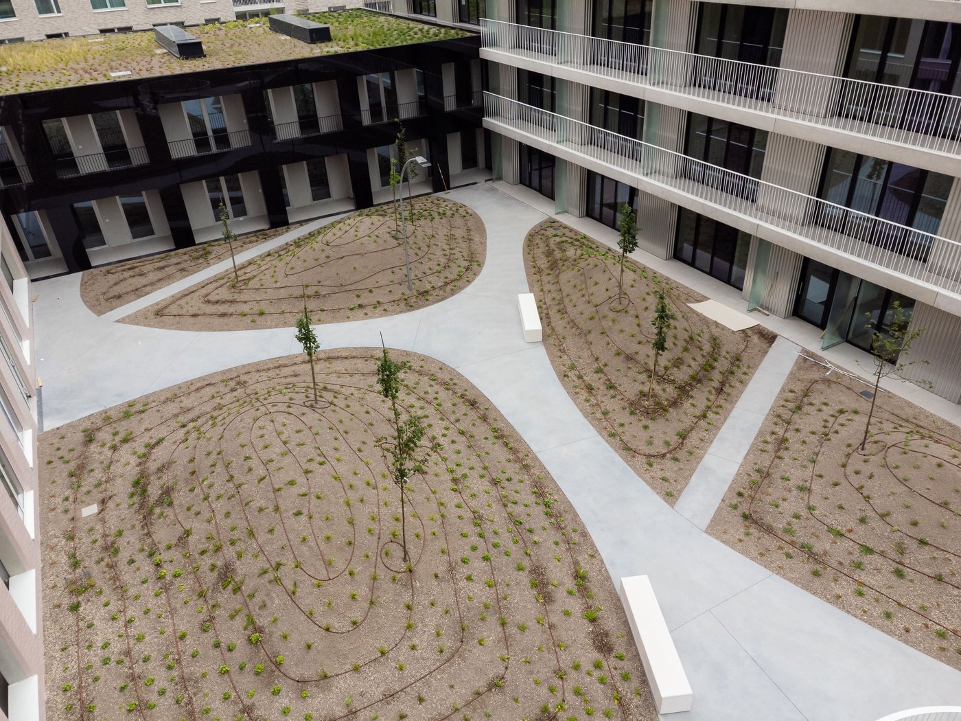 EMC Greenroofs - Blog irrigatiesystemen - City Dox Anderlecht - bovengronds druppelirrigatiesysteem op netstroom.jpg