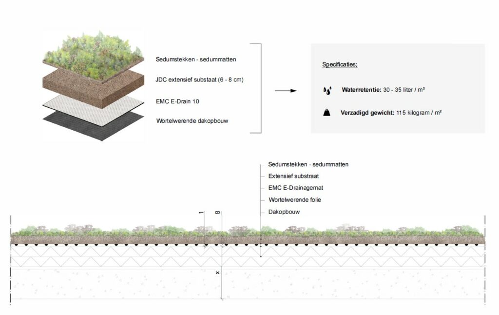 EMC Greenroofs Aalter - Blog keuze groendak - Detail extensief groendak.jpg