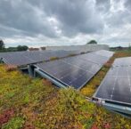 Mini groendak met zonnepanelen of solar - Blog irrigatie groendaken.png