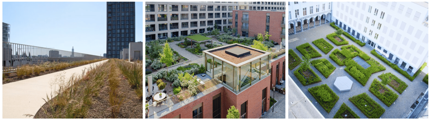 EMC Greenroofs - Blog Welk groendak past bij jouw project - Biodak.png