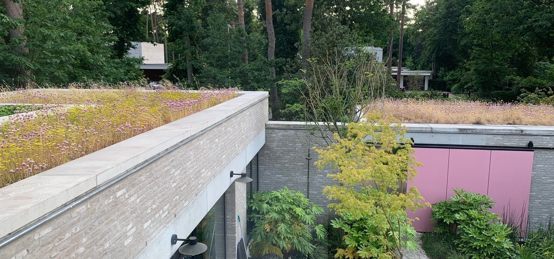 EMC Greenroofs project Quartie Blue aanleg intensieve daktuin te Hasselt