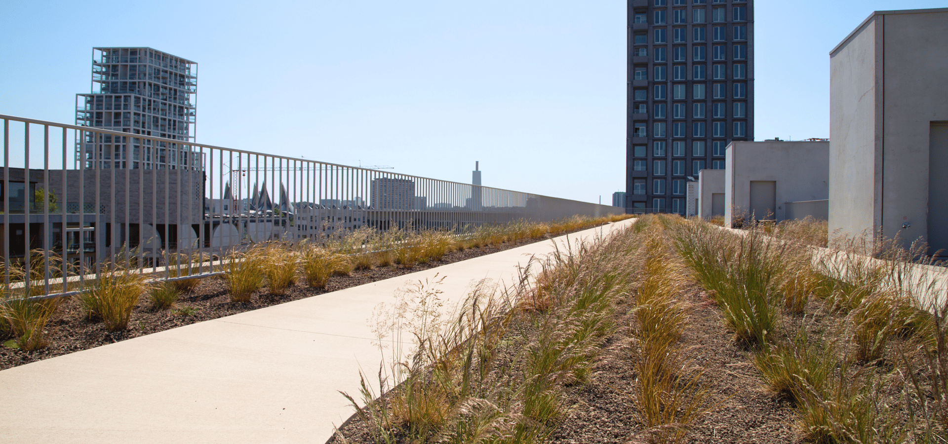 EMC Greenroofs project Quartie Blue aanleg intensieve daktuin te Hasselt